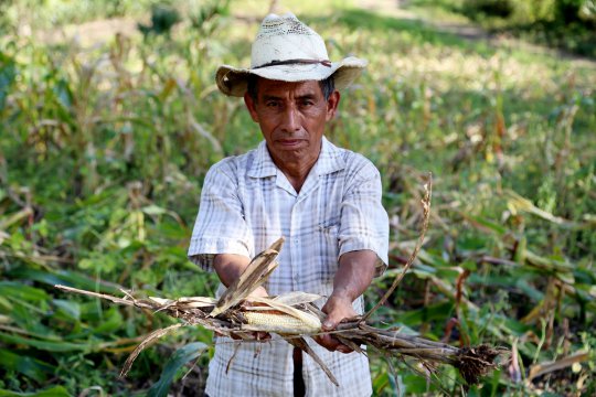 La sécheresse et le réchauffement climatique commencent à affamer l’Amérique centrale