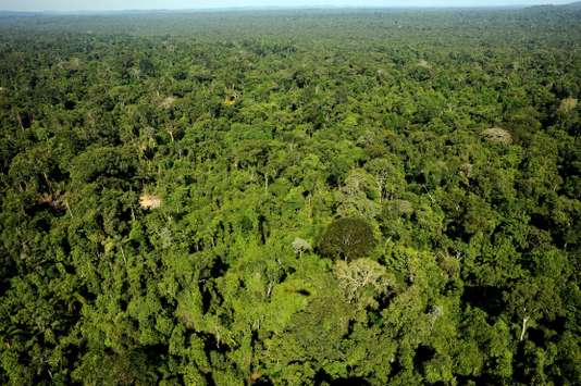 Brésil : la justice suspend l’autorisation d’exploiter une réserve d’Amazonie (Le Monde)