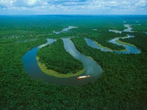 Les dernières forêts primaires de l’Amazonie équatorienne menacées par l’élargissement de la frontière pétrolière