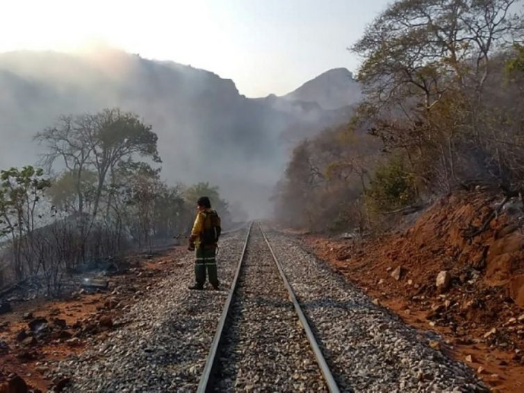 Au moins 750 000 hectares de forêt détruits par le feu en Bolivie (Amanda Chaparro/ Le Monde)