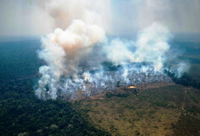 Colombie : des feux en Amazonie mettent la capitale sous « alerte environnementale » (Le Monde / AFP)