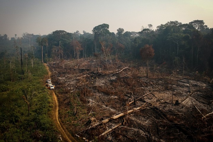 Déforestation en Amazonie : Carrefour mis en cause (Reporterre)
