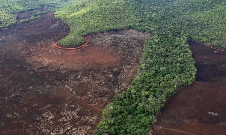 🇧🇷 Les banques françaises financent massivement la déforestation de l’Amazonie (enquête Disclose / Reporter Brésil)