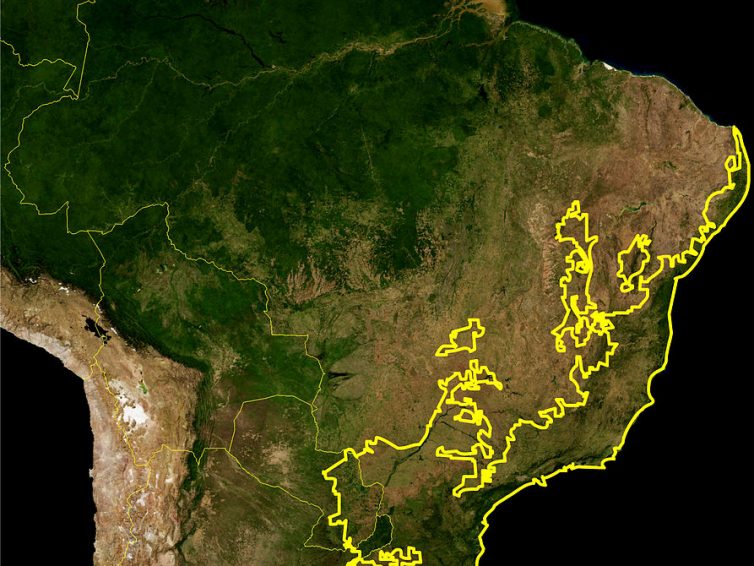 🇧🇷 La «mata atlântica», l’autre forêt dévastée du Brésil (Jean-Baptiste Bonaventure / Slate)