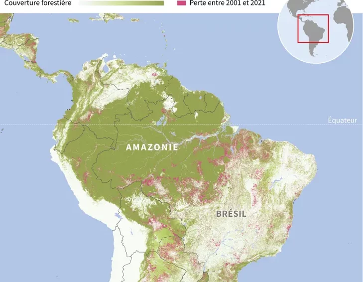 🇨🇴 🇻🇪 À la COP27, la Colombie et le Venezuela appellent à sauver l’Amazonie (AFP – La Croix) / Discours de Gustavo Petro (vidéo El País)