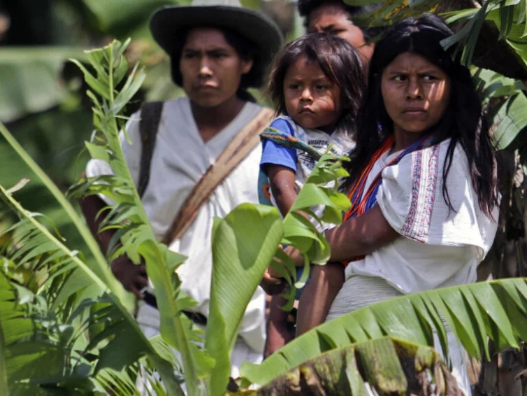 🇨🇴 En Colombie, les indigènes de la “montagne sacrée” érigés au rang de patrimoine de l’humanité (France 24)