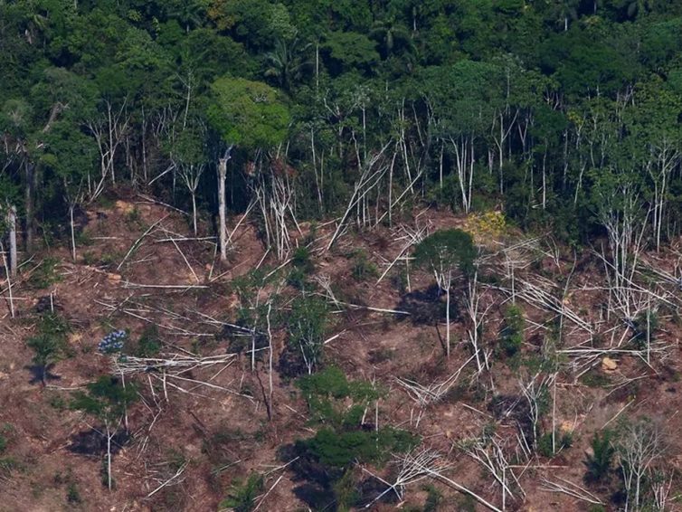 🇧🇷 Brésil : Lula annonce un nouveau plan contre la déforestation de l’Amazonie (La Libre – AFP / TV5 Monde)