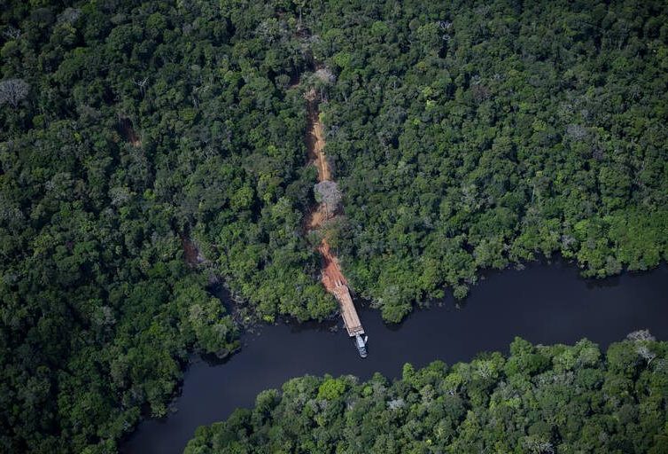 🇧🇷 Au Brésil, la déforestation a fortement reculé depuis l’arrivée au pouvoir de Lula (Samuel Ravier-Regnat / Libération)