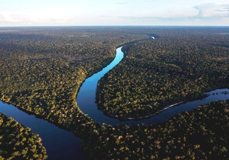 🇧🇷 COP28 : le Brésil propose la création d’un fonds visant à protéger les forêts tropicales (Le Monde / AFP)