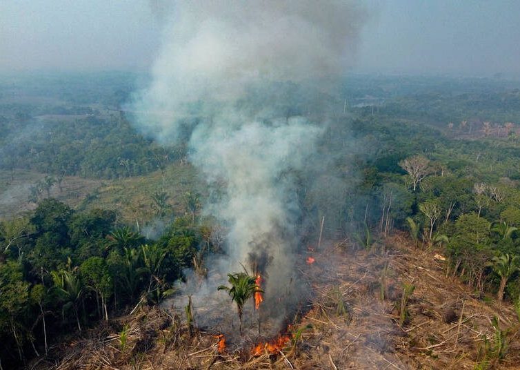 Amazonie : quatre banques françaises poursuivies en justice pour leur soutien à la déforestation illégale (Mathilde Roche / Libération)