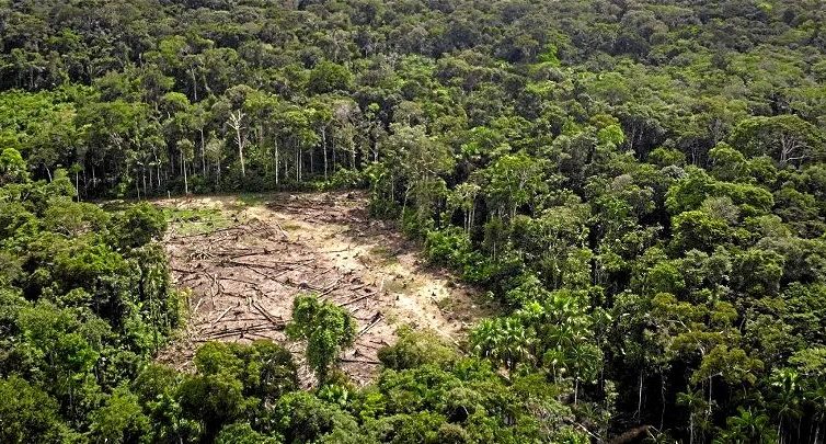 🇧🇷 Amazonie brésilienne : déforestation en diminution mais des incendies ravageurs (Le Temps / Libération / AFP)