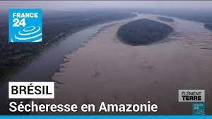 🇧🇷 Brésil. Sécheresse en Amazonie (reportage de France 24)