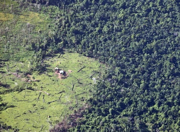 🇳🇮 🇺🇳 Nicaragua: le Fonds climatique de l’ONU annule le financement d’un projet de reforestation (RFI)