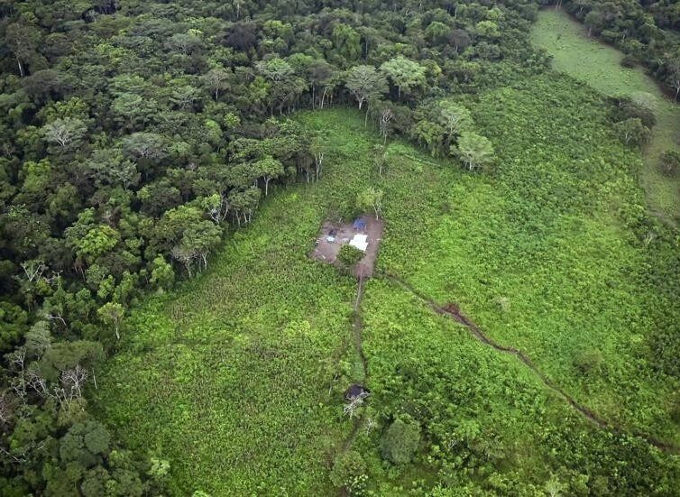 🇨🇴 Colombie: la paix peut-elle aider à lutter contre la déforestation? (Lucile Gimberg / RFI)