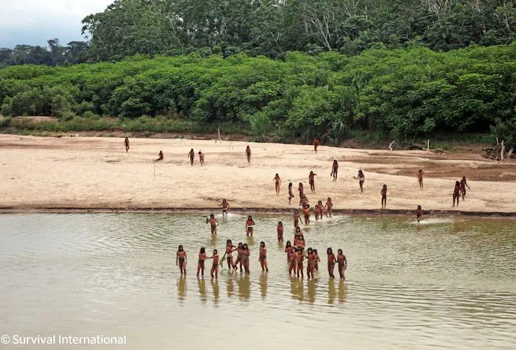 🇵🇪 Les Mashco Piro, un «peuple non contacté» du Pérou, mis en danger par la déforestation (Libération)
