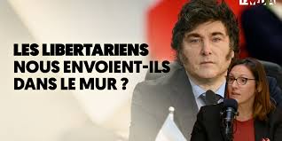 🇦🇷 Argentine : les libertariens nous envoient-ils dans le mur ? (Entretien avec Maricel Rodriguez Blanco par  Irving Magi / Le Média)