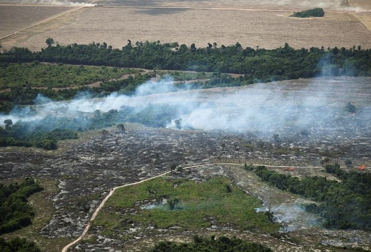 🇫🇷 🇧🇷 Quatre banques françaises accusées par des ONG de financer la déforestation en Amazonie (Libération / AFP)